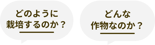 どのように栽培するのか?どんな作物なのか?